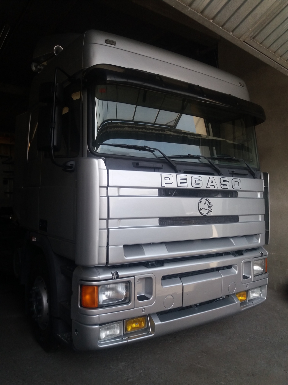 CAMION PEGASO