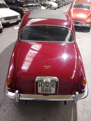 JAGUAR 